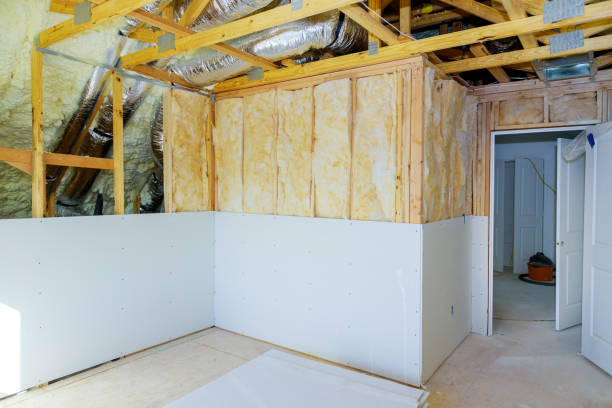 Best Commercial Insulation in Center Hill, FL