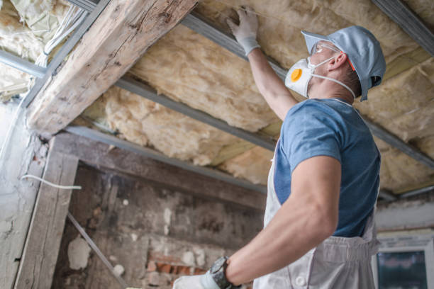Best Types of Insulation in Center Hill, FL